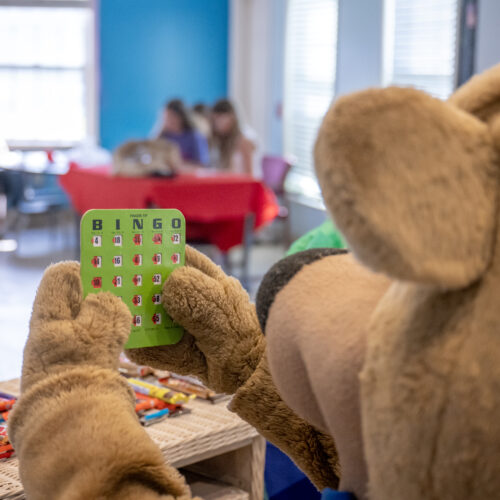 Bingo with the bears at jellystone park delaware beaches
