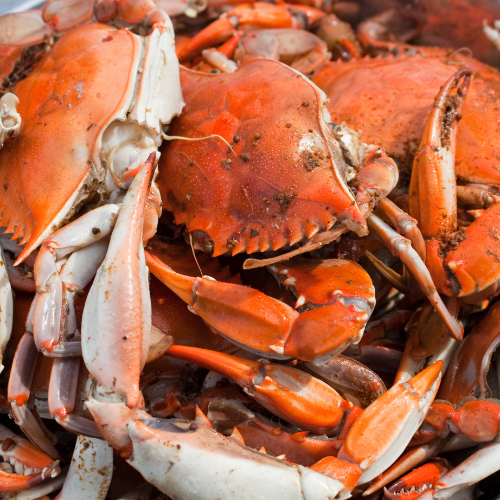 Crab Feast Week