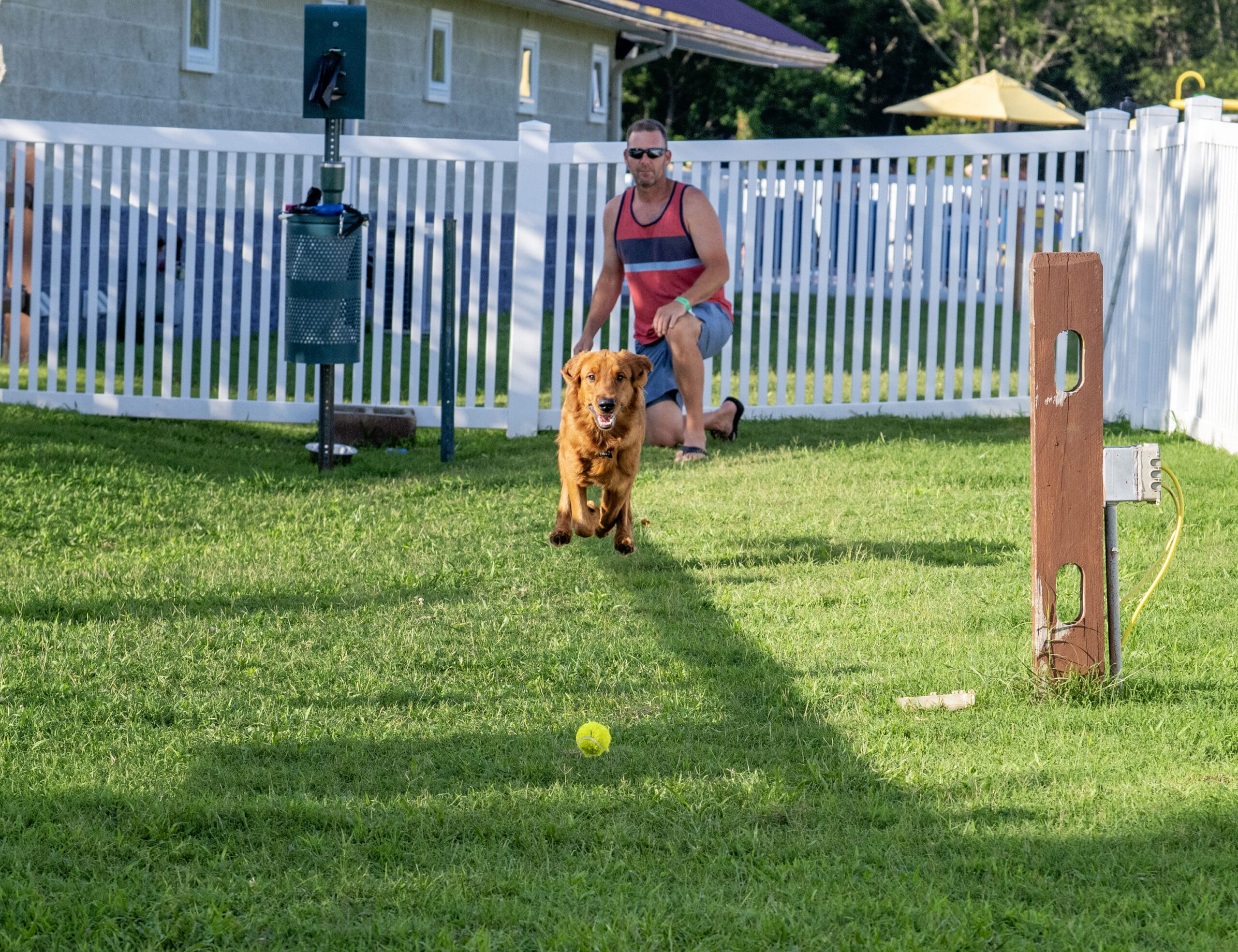 Jellystone Park Delaware Beaches Dog Run