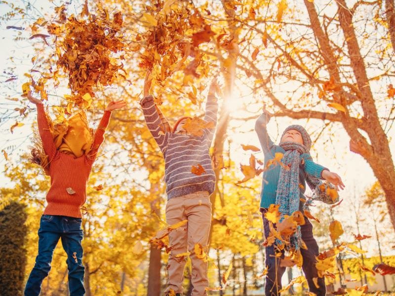 Fall Into Fun Weekend